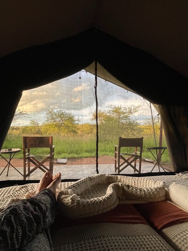 Not a bad way to end the day, camping safari style.